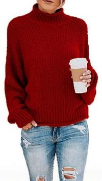 ÉLORIA - Chunky Knit Turtleneck Sweater